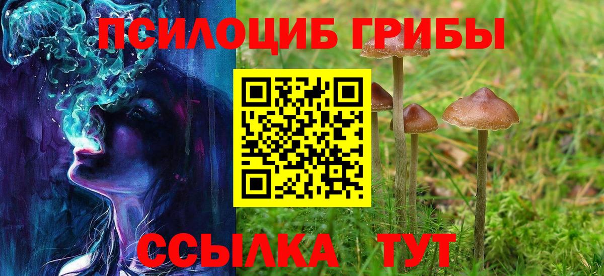 Псилоцибиновые грибы Psilocybine cubensis Златоуст