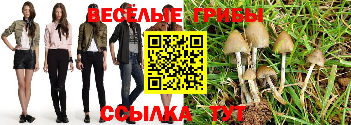 Псилоцибиновые грибы GOLDEN TEACHER  Вход с VPN  Златоуст 